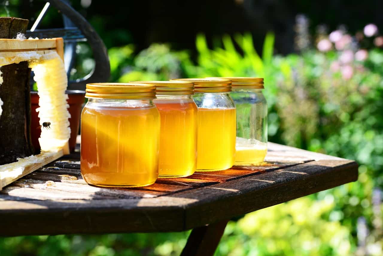 Freshly harvested jars of honey lined up near the hive