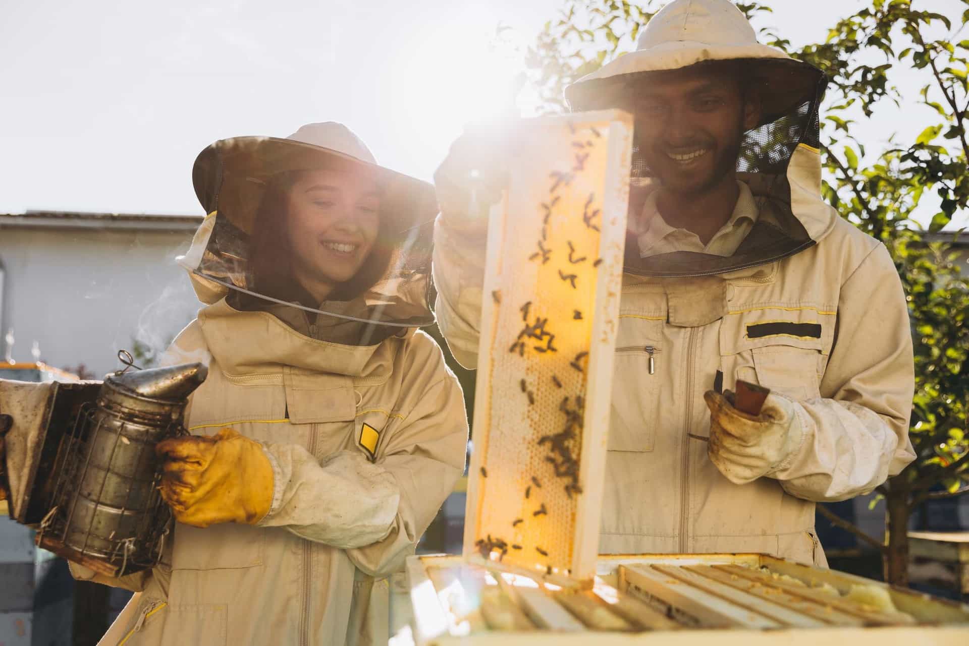 Efficiency in beekeeping starts with keeping detailed records. APiLOG makes it simple and hands-free, letting you focus on your bees, not the paperwork.