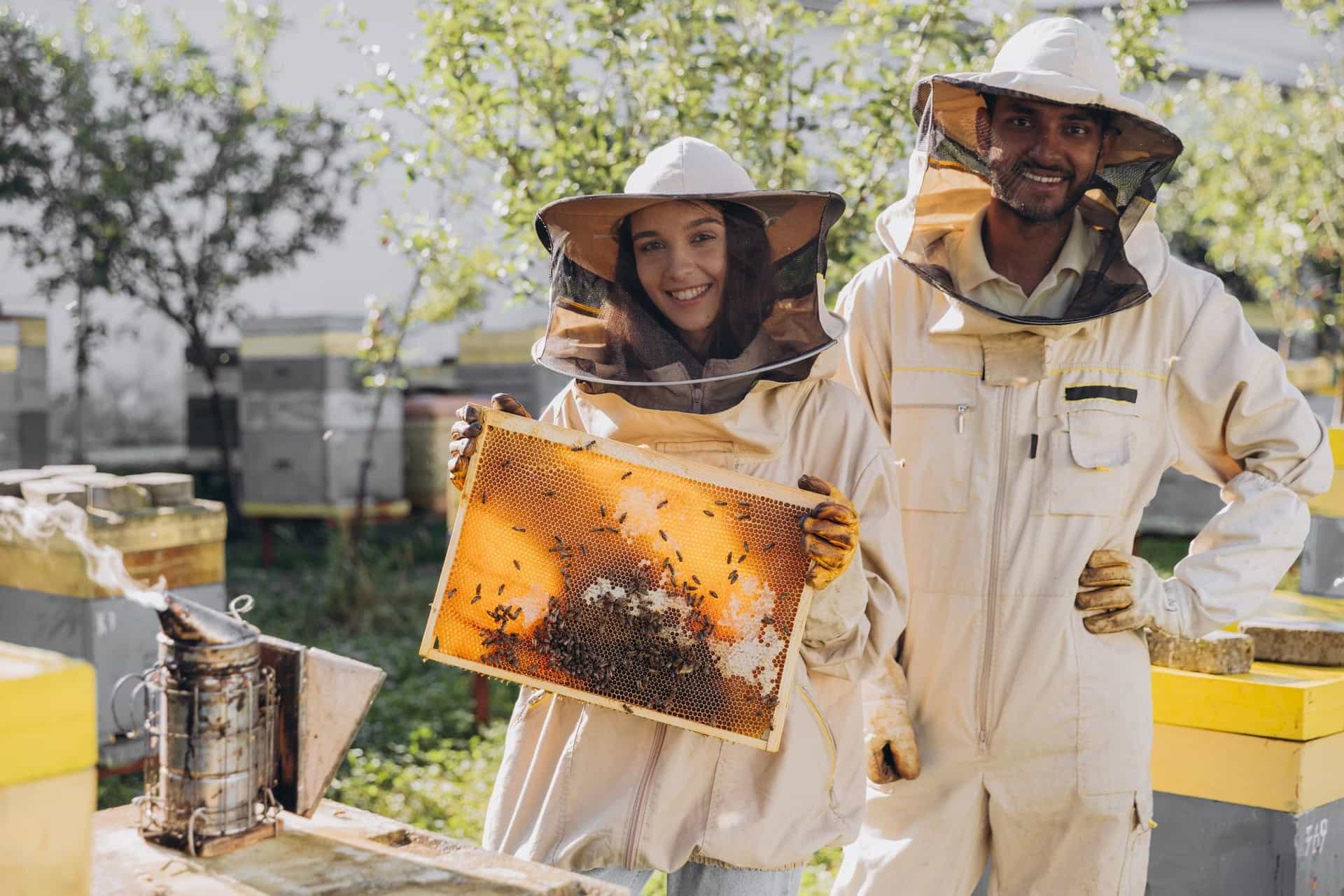 Efficient management is key to a thriving apiary. By focusing on specific tracking techniques, you can enhance your beekeeping success.