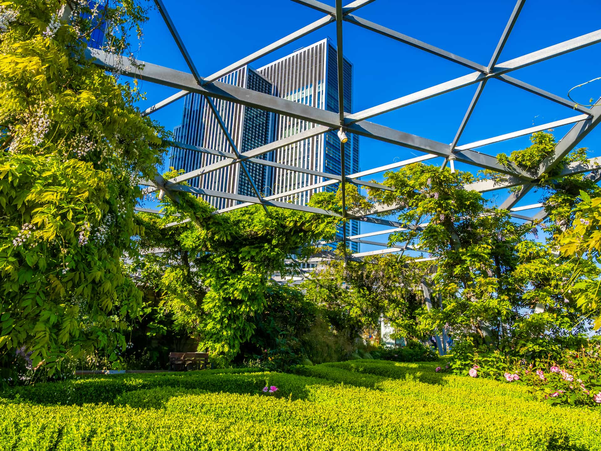 Urban green space with diverse flora