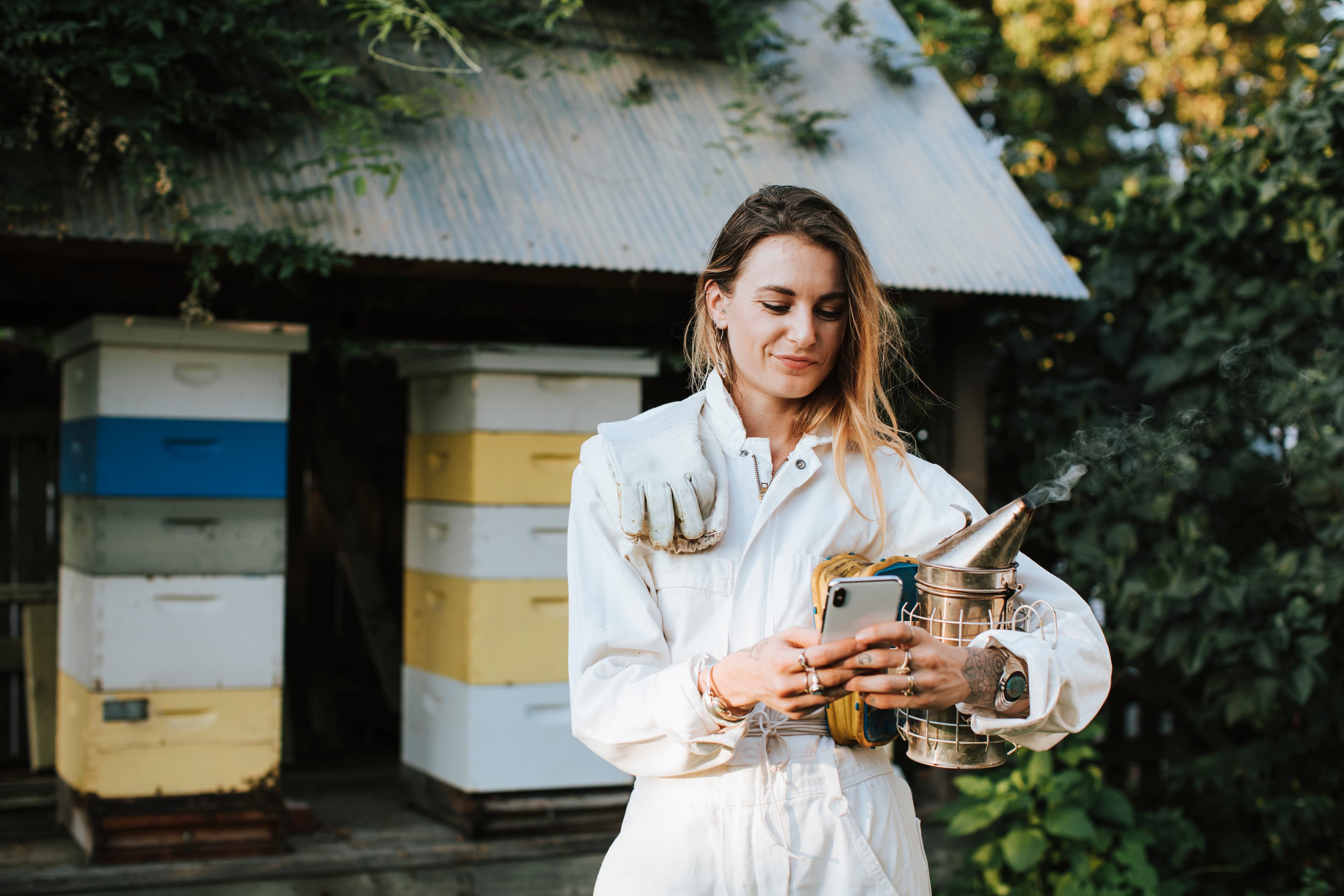 Beekeeper reviewing hive records on a phone at the apiary