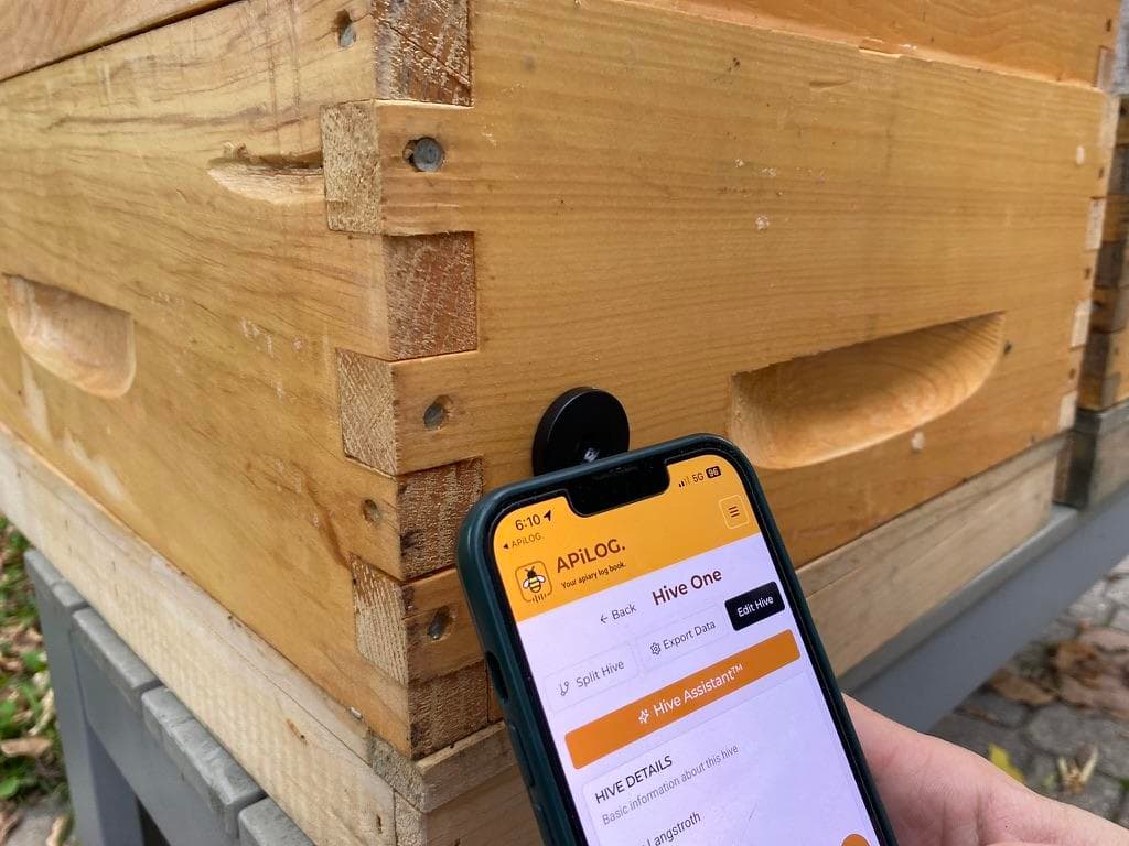 Beekeeper reviewing checklist and photo records on a mobile device during a hive inspection