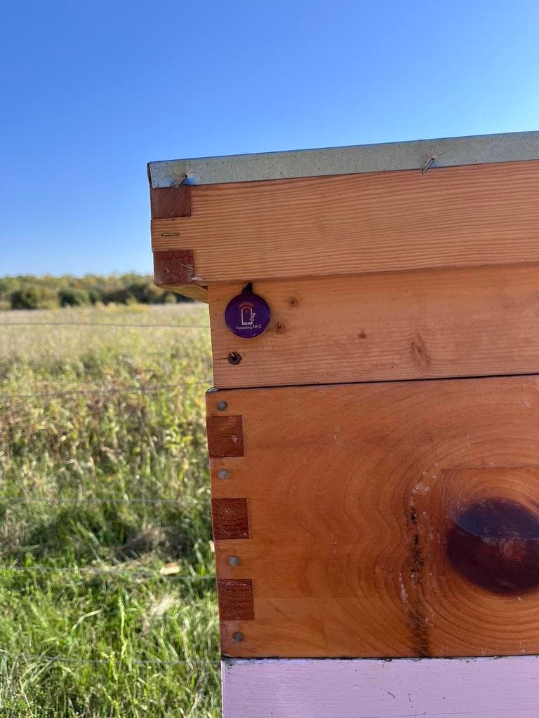 Field-Ready Hive Records: Build a System That's Fast Now and Useful Later