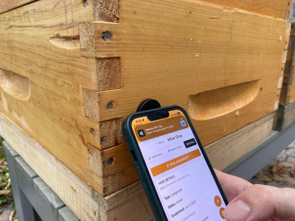 Late-Season Hive Inspections: Organize Your Records for Smarter Winter Prep
