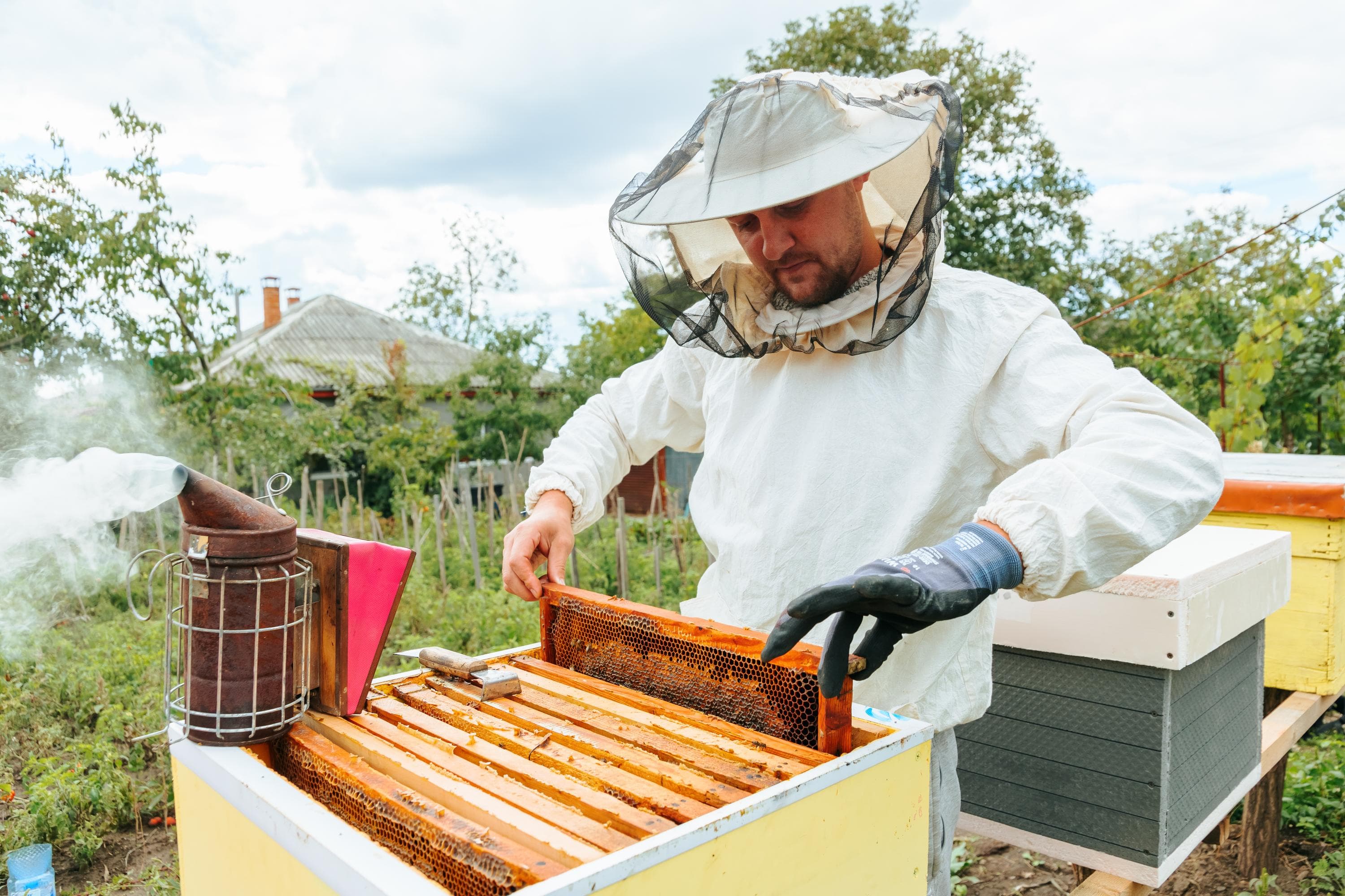 Late-Summer Hive Records: A Simple System That Stays Useful All Season