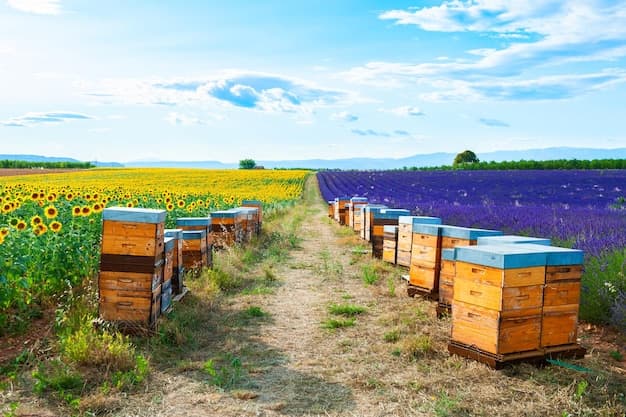 Lavender Hives