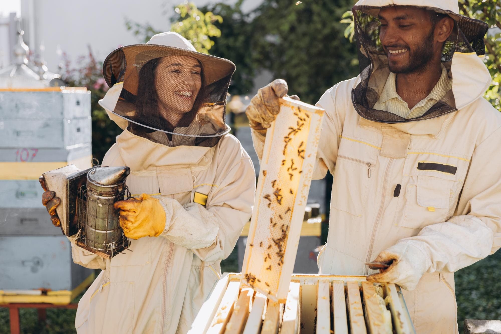 Woman beekeeper holding smoker during hive inspection
