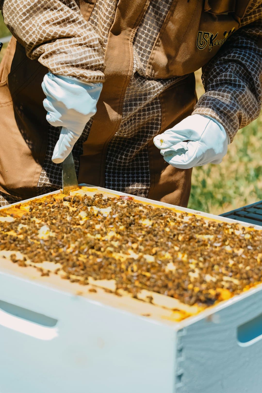 A beekeeper writing inspection notes into a logbook beside an open hive