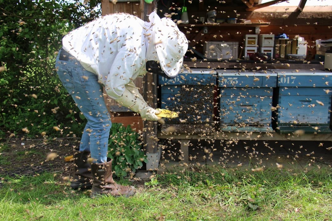 A beekeeper reviewing an insurance policy document beside a row of hives