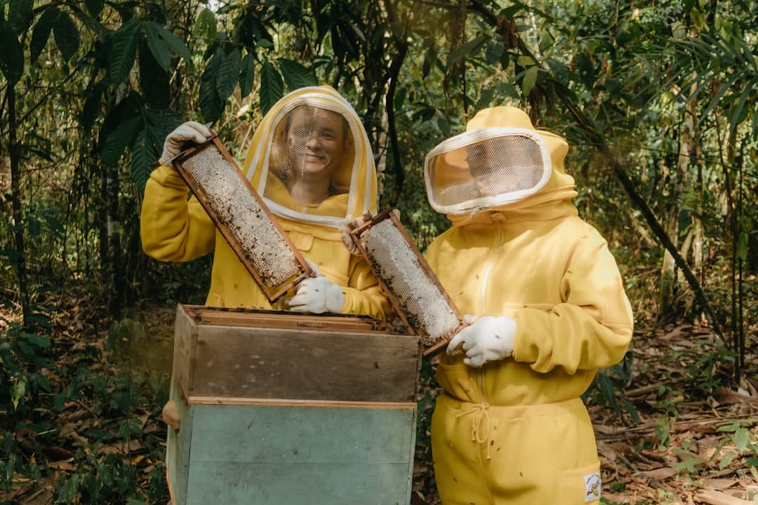 A beekeeper working a hive in bright sun with a shaded, well-ventilated apiary setup
