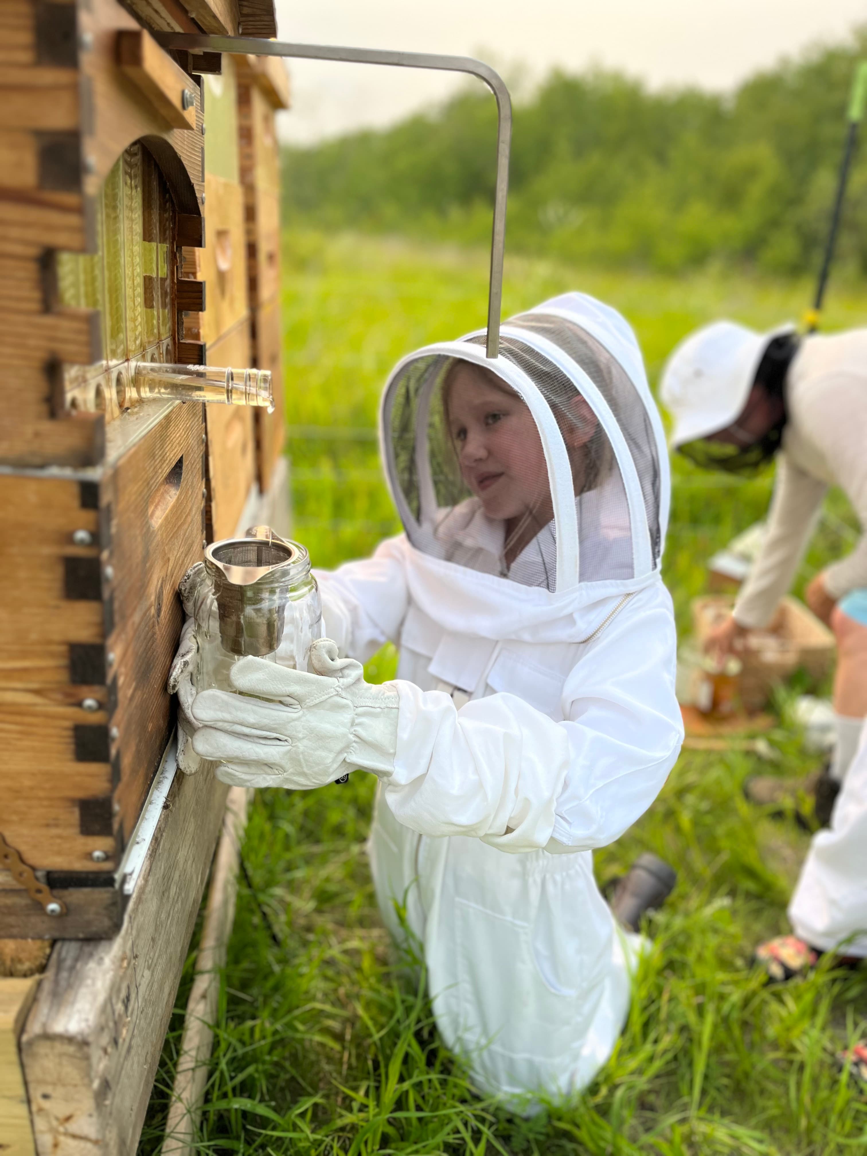 Extracting our first Flow Hive Honey