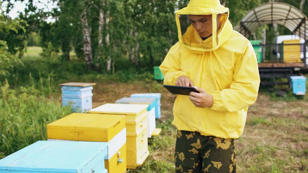 Beekeeper reviewing hive records on a tablet during an inspection