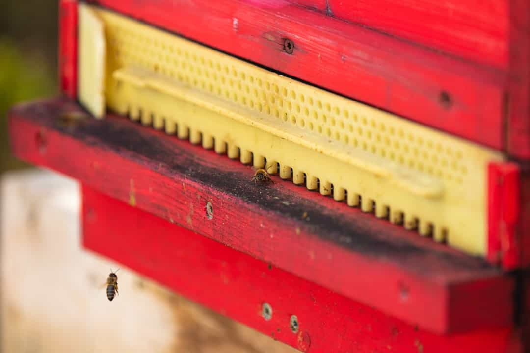 Close-up of a hive entrance with bees, the record behind every loss report starts here